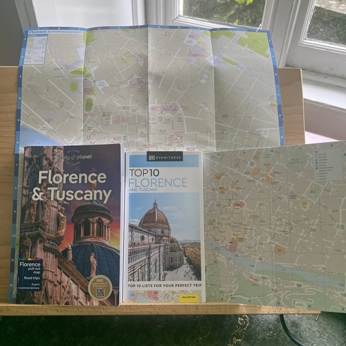Lonely planet florence - planet,