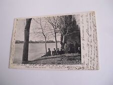 Pisa - Piena dell'Arno Viale Umberto I - spedita f. p.