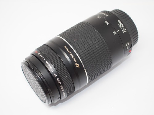 Canon 300 4 5 - ef, f/4-5.6