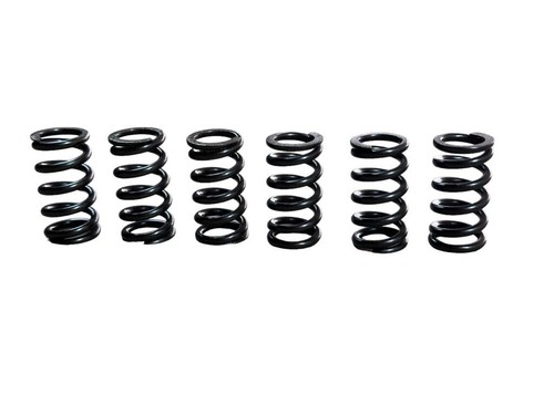Set molle frizione motore - frizione,