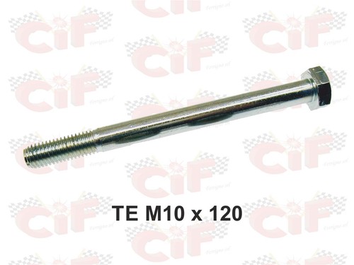 Bullone m10x120 per gruppo - te,