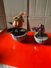 Set 2 Vasetti in ceramica con piantine realizzate in foglie giada colorata