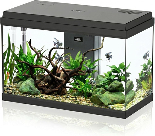 Acquario vetro per pesci - vetro,