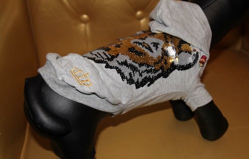 7525_Angeldog_Abbigliamento