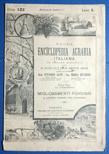 MIGLIORAMENTI FONDIAR da RIVISTA DELL'ENCICLOPEDIA AGRARI  N.121 PRIMI 900-12081