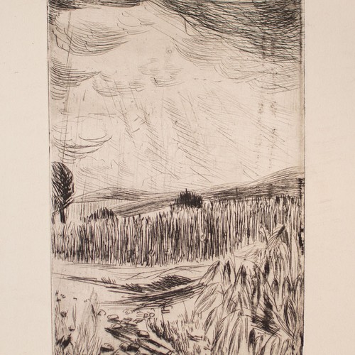 Berthold martin herko - martin, felder