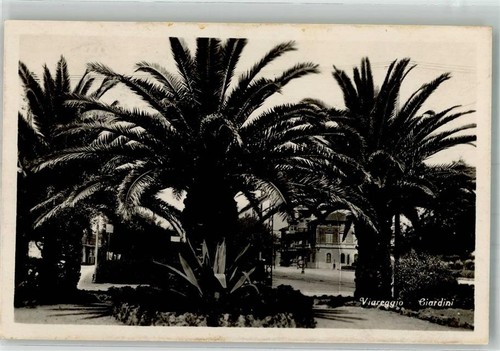 39979939 viareggio lucca - 39979939,