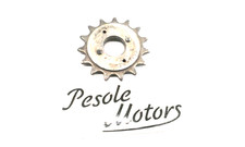 ruota libera pignone ingranaggio 15 fisso  marce  everest  bici ciclo d'epoca