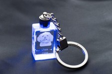 Lhasa Apso, Cane Leone