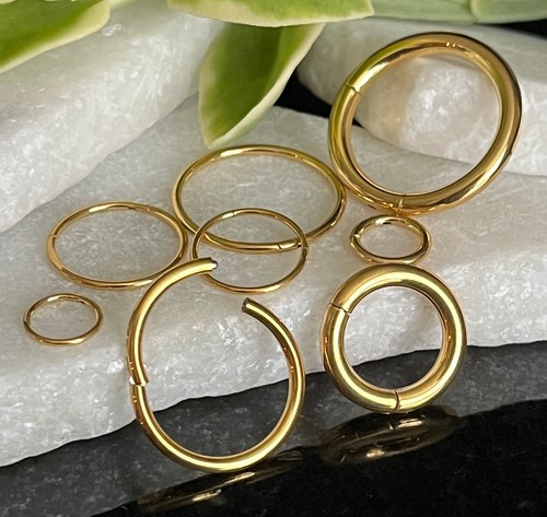 Anello segmento incernierato - segmento,