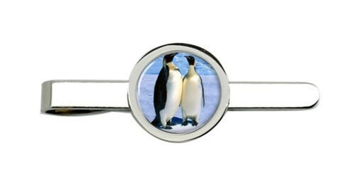 Pinguino fermacravatta - pinguino,