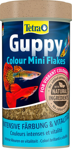 Guppy colour mini - guppy, flakes