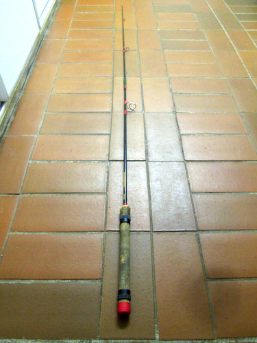 Canne lancer brins - lancer, peche