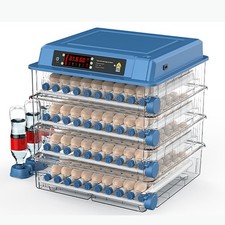 Incubatrice digitale