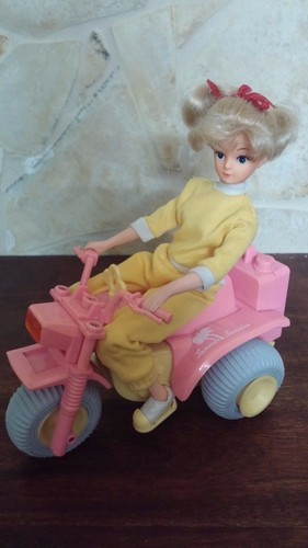 Barbie summer sensation - barbie,