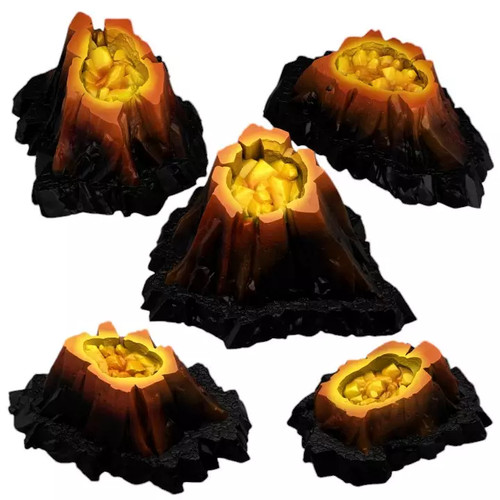 Piante rocce fantastiche - e,