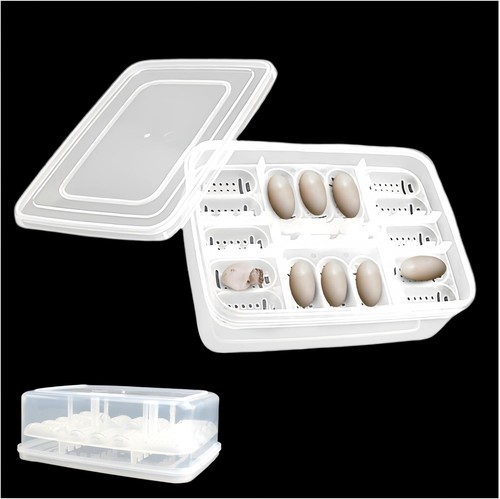 Reptile breeding box incubator - reptile,