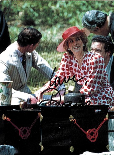 Lady diana princess - diana,