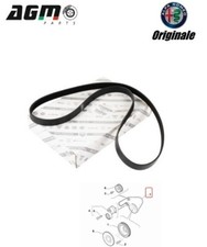 Cinghia poly trasmissione - poly-v,