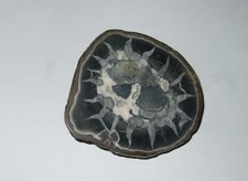 Minerali grezzi - -,