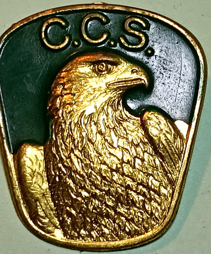 Alpini distintivo c s - alpini-distintivo-, c.c.s