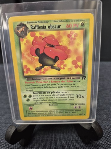 Rafflesia obscur dark - rafflesia,