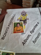 Figurina N.213 Album Calcio