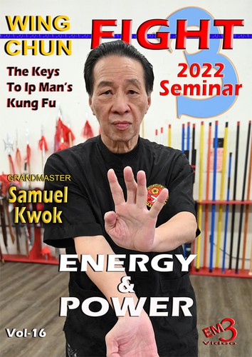 Mastering wing chun vol - mastering,