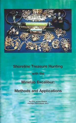 Shoreline treasure hunting - treasure,