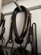 Antico set bardatura cavalli da carro funebre