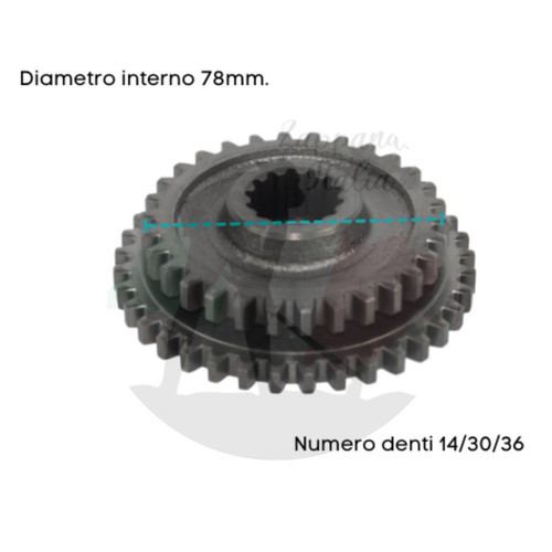 Goldoni ingranaggio doppio - ingranaggio,