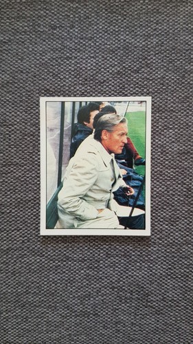 Figurina panini calciatori - figurina,