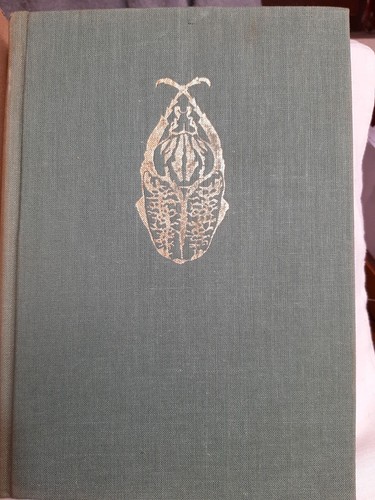 Enciclopedia illustrata degli - enciclopedia,