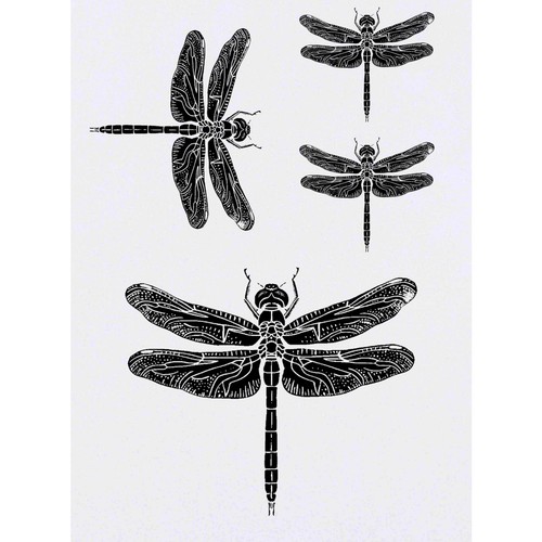 Tatuaggi trasferimenti - 4, tatuaggi/trasferimenti