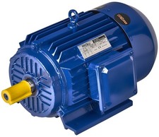 Motore Trifase 22 kW 380 V