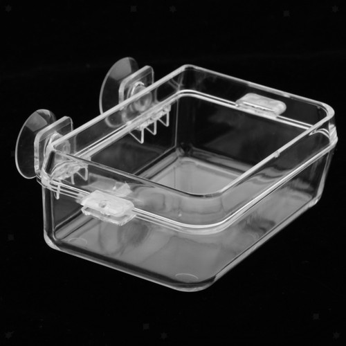 Ciotola per acqua cibo in - per,