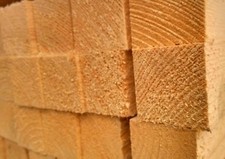 Lotto di 20 morali abete