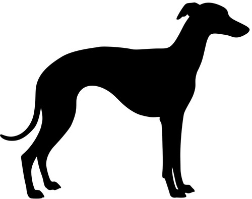 Whippet adesivo auto - auto,