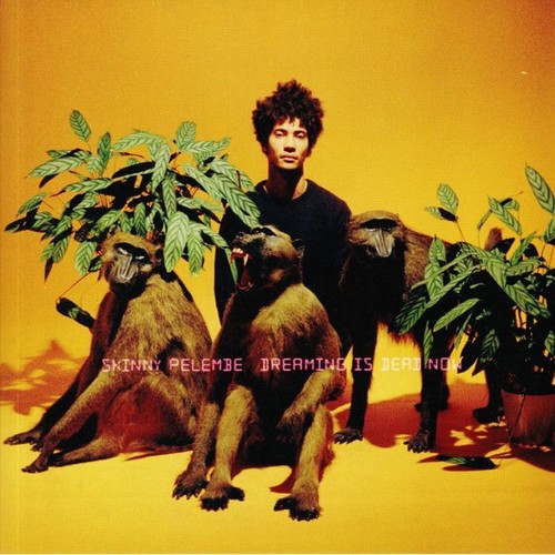 Skinny pelembe dreaming - skinny, pelembe – dreaming