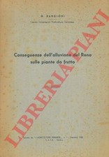 BARGIONI G. -  Conseguenze