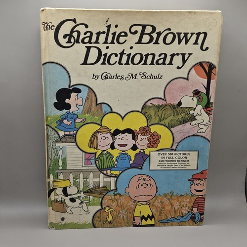 Vintage the charlie brown - vintage,