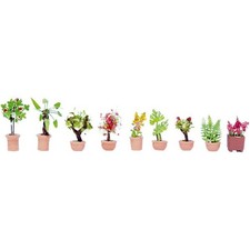 NOCH 14082 Large Flower Pot