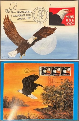 2541 eagle cachet dipinto - cachet,