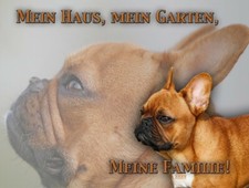 BULLDOG FRANCESE targa in metallo TARGA targa porta metallo insegna cane NUOVO #5