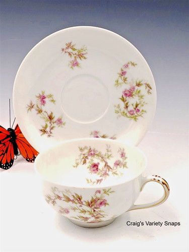 Set tazze piattini haviland - set,
