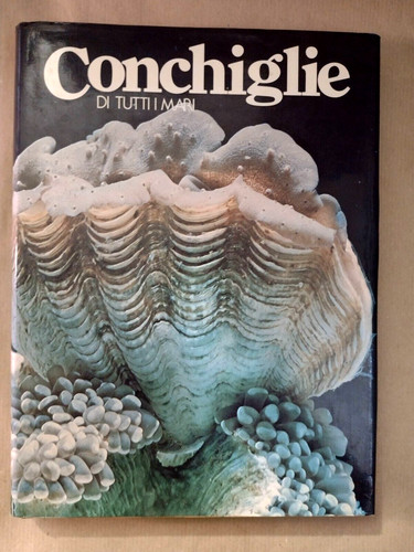 Conchiglie tutti mari - i,