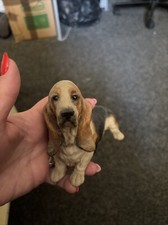 Bassett Hound Figure Displayed