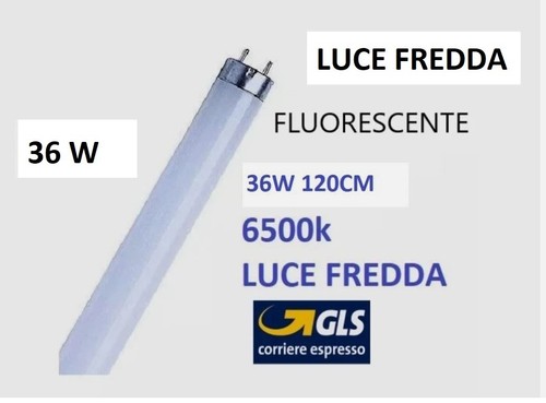 Lampada lampadina neon - neon, t8
