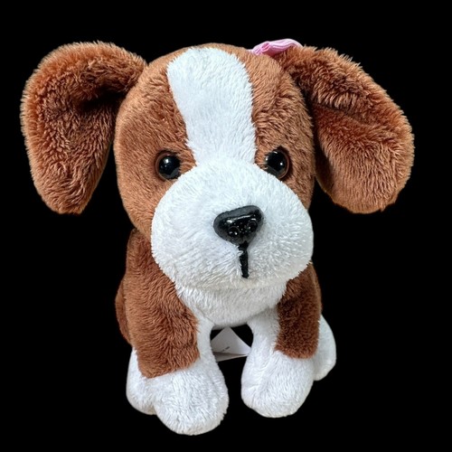 Beagle puppy dog pet our - beagle,