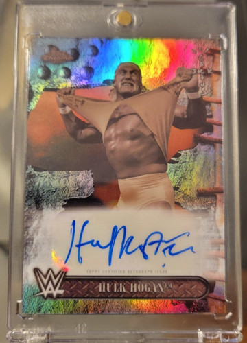 2025 topps chrome wwe - 2025,